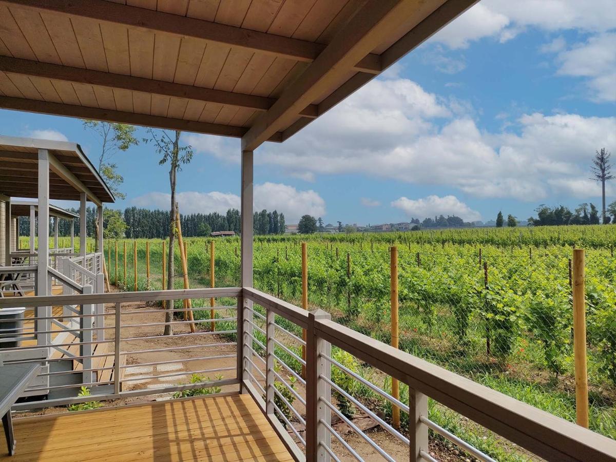 Garda Di Vino Agricamping & Wine Shop Lazise Ronchi  外观 照片